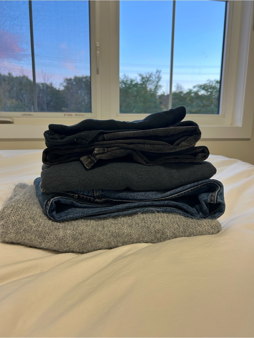 Clothing Bundle (Aviator Nation, Levi, Brandy, etc)